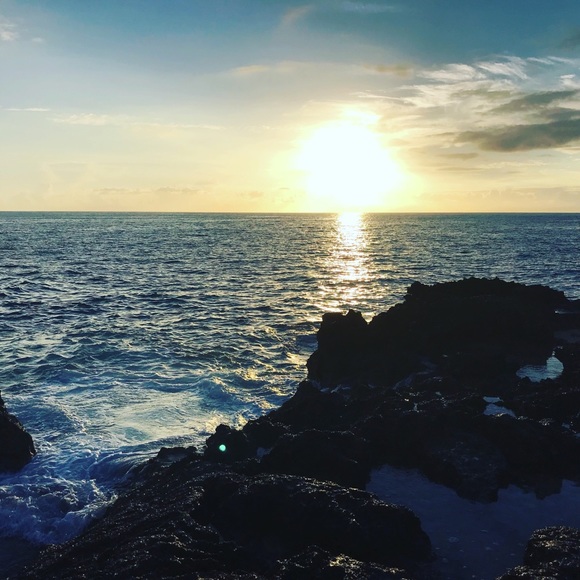 Meet your Posher, Sonia - Picture 1 of 1